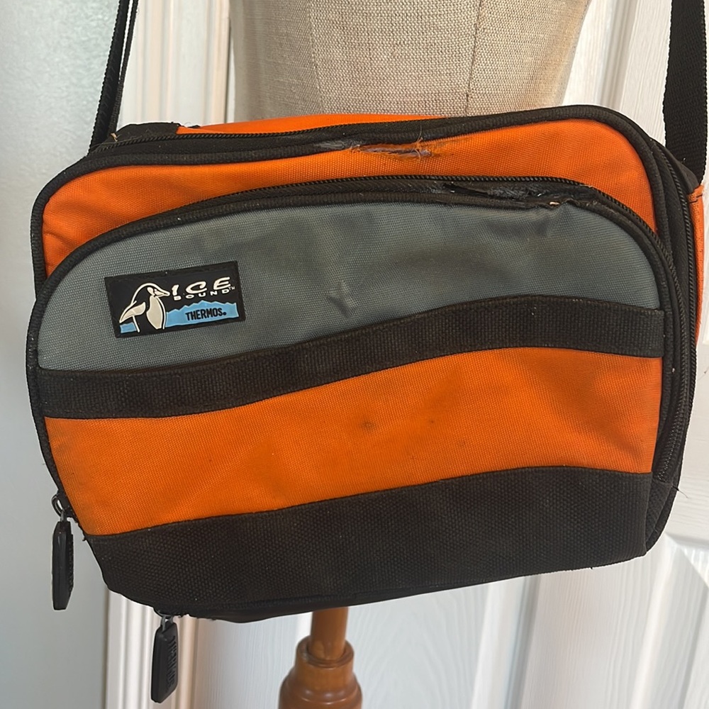 Thermos icebound lunchbox orange